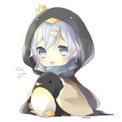 Rookie 转述